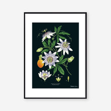 Load image into Gallery viewer, Passion Flower - Black - Art Print