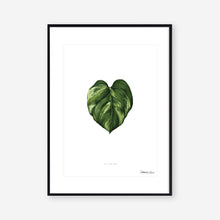 Load image into Gallery viewer, Golden Pothos - Art Print