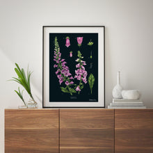Load image into Gallery viewer, Foxglove - Black - Art Print