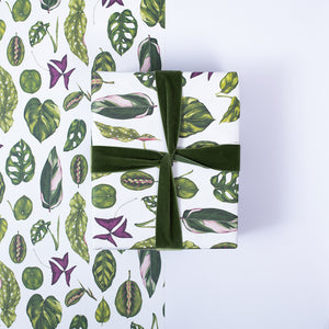 Houseplants - Gift Wrap