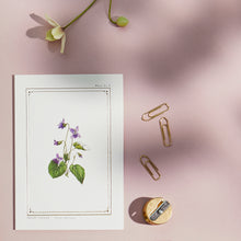 Load image into Gallery viewer, Sweet Violet - &#39;The Botanist Archive : Everyday Edition&#39; - Card