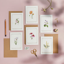 Load image into Gallery viewer, Luxury Box Set of 12 - The Botanist Archive : Everyday Edition