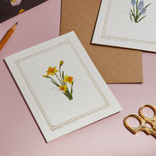 Load image into Gallery viewer, Daffodil - &#39;The Botanist Archive : Everyday Edition&#39; - Card