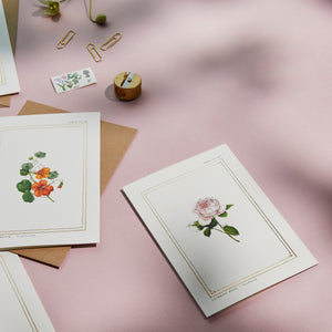 Rose - 'The Botanist Archive : Everyday Edition' - Card