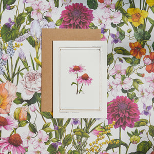 Echinacea - 'The Botanist Archive : Everyday Edition' - Card