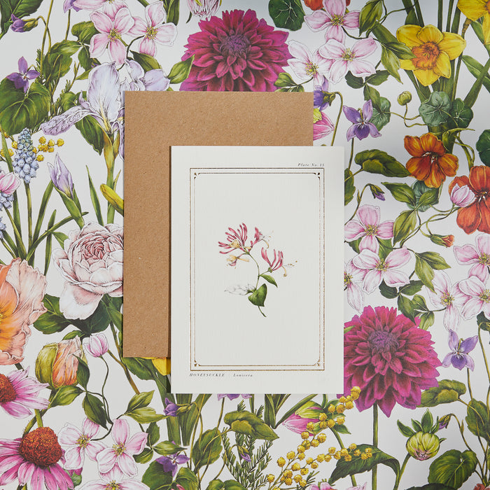 Honeysuckle - 'The Botanist Archive : Everyday Edition' - Card