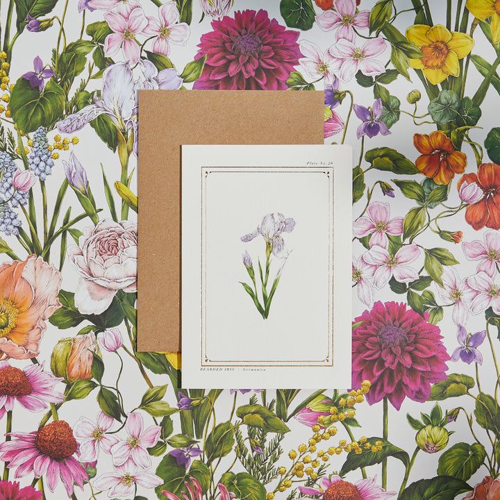 Iris - 'The Botanist Archive : Everyday Edition' - Card