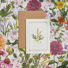 Load image into Gallery viewer, Mimosa - &#39;The Botanist Archive : Everyday Edition&#39; - Card