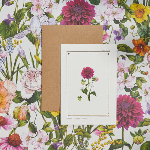 Dahlia - 'The Botanist Archive : Everyday Edition' - Card