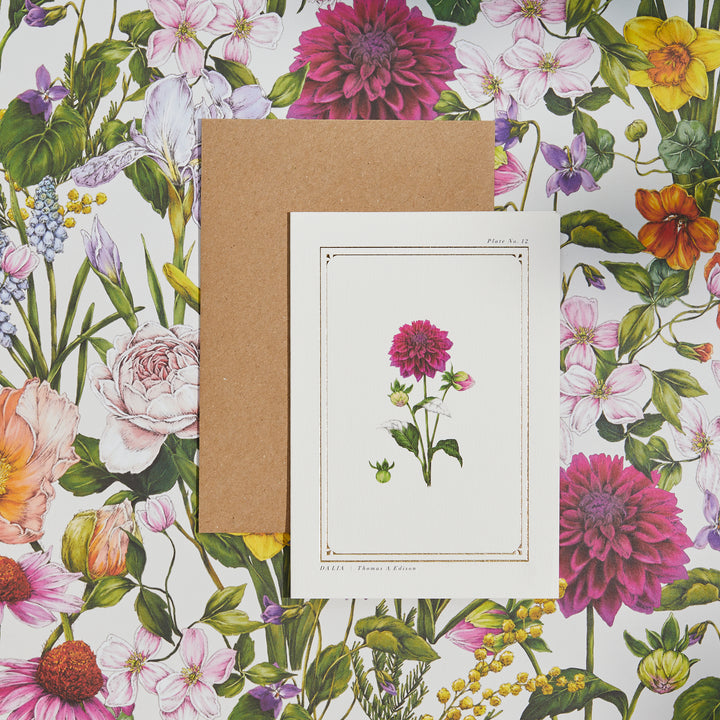 Dahlia - 'The Botanist Archive : Everyday Edition' - Card