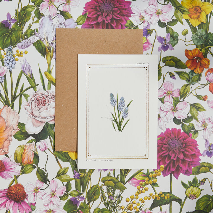 Muscari - 'The Botanist Archive : Everyday Edition' - Card