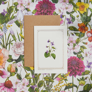 Sweet Violet - 'The Botanist Archive : Everyday Edition' - Card