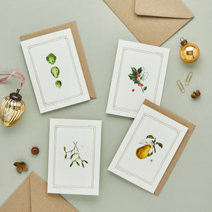 Box of 8 Botanical Luxury Christmas Cards - 'Botanist Archive: Festive Edition' Collection