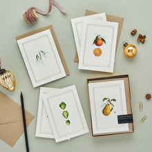 Load image into Gallery viewer, Box of 8 Botanical Luxury Christmas Cards - &#39;Botanist Archive: Festive Edition&#39; Collection