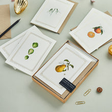 Load image into Gallery viewer, Box of 8 Botanical Luxury Christmas Cards - &#39;Botanist Archive: Festive Edition&#39; Collection