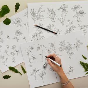Person drawing botanical illustrations on paper with plants and drawing tools around.