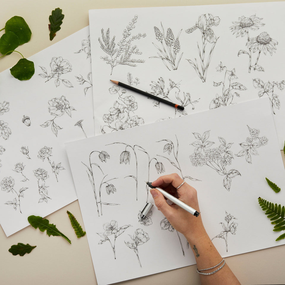 Person drawing botanical illustrations on paper with plants and drawing tools around.