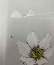 Load image into Gallery viewer, Wood Anemone - A3 Art Print (SALE)