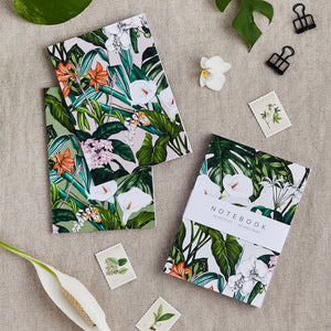 'Palm House Tropics' Collection - A6 Set of 3 Notebooks