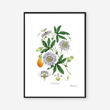 Load image into Gallery viewer, Passion Flower - White - Art Print
