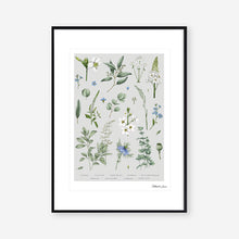 Load image into Gallery viewer, Botanical &#39;Ethereal&#39; - Art Print