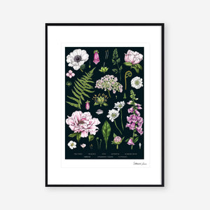 Botanical 'Summer Garden' Black - Art Print
