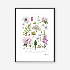 Botanical 'Summer Garden' White - Art Print