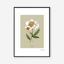 Load image into Gallery viewer, Botanical Peony &#39;Spring Blossom&#39; - Art Print