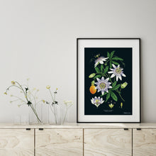 Load image into Gallery viewer, Passion Flower - Black - Art Print