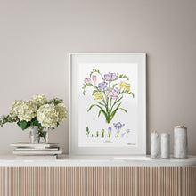 Load image into Gallery viewer, Freesia - Art Print