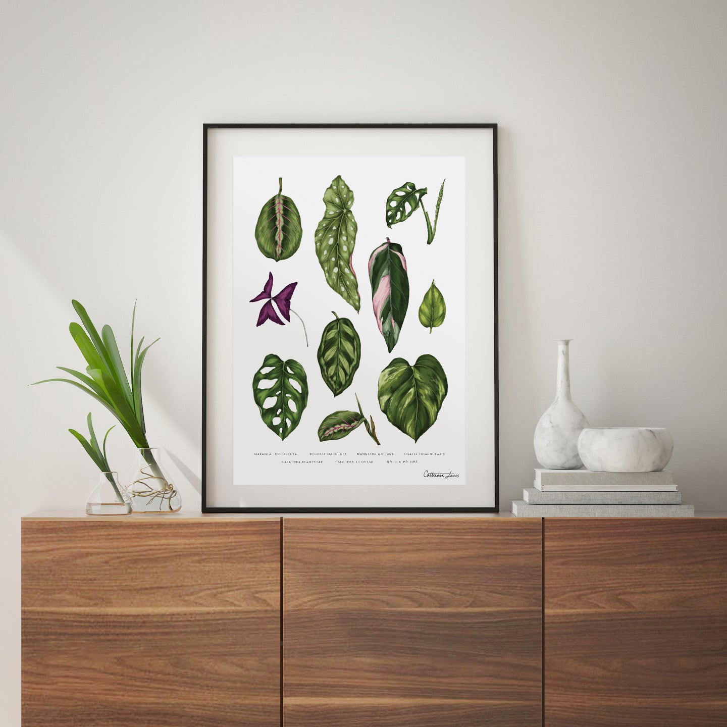 Houseplants - Art Print