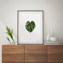 Load image into Gallery viewer, Golden Pothos - Art Print