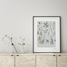Load image into Gallery viewer, Botanical &#39;Ethereal&#39; - Art Print