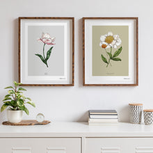 Load image into Gallery viewer, Botanical Tulip &#39;Spring Blossom&#39; - Art Print