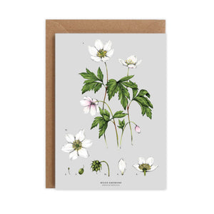 Botanical 'Wood Anemone' Species Card - SALE