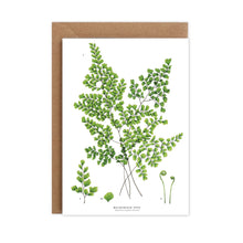 Load image into Gallery viewer, Botanical &#39;Maidenhair Fern&#39; Species Card