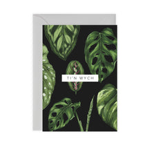 Load image into Gallery viewer, Houseplants - Carden &#39;Ti&#39;n Wych&#39;