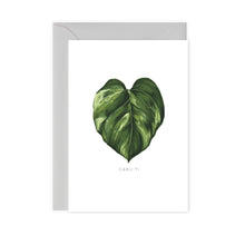 Load image into Gallery viewer, Houseplants - Carden &#39;Caru Ti&#39;