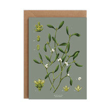 Load image into Gallery viewer, Mistletoe Species - Christmas Card