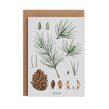 Load image into Gallery viewer, White Pine Species - Christmas Card
