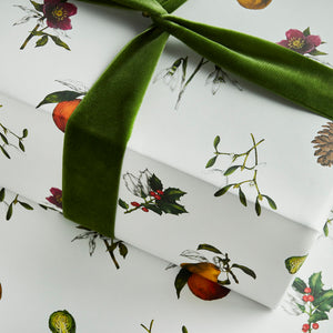 No. 2 - 'The Botanist Archive : Festive Edition' - Ivory Christmas Gift Wrap