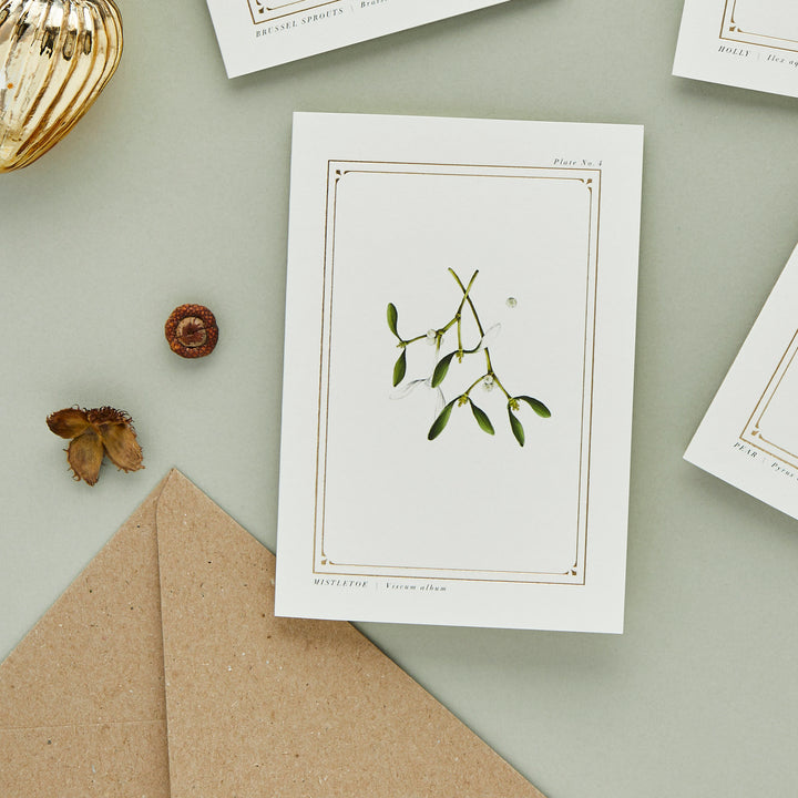 Mistletoe - 'The Botanist Archive : Festive Edition' - Card