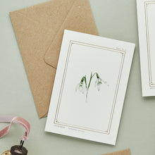 Load image into Gallery viewer, Snowdrop - &#39;The Botanist Archive : Festive Edition&#39; - Card