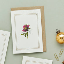 Load image into Gallery viewer, Hellebore - &#39;The Botanist Archive : Festive Edition&#39; - Card