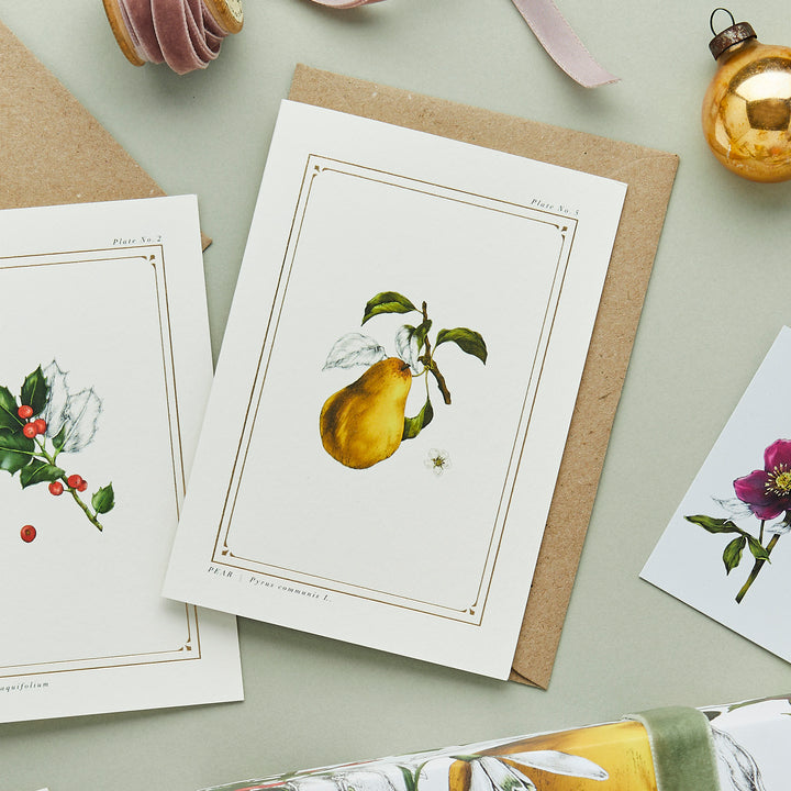 Pear - 'The Botanist Archive : Festive Edition' - Card