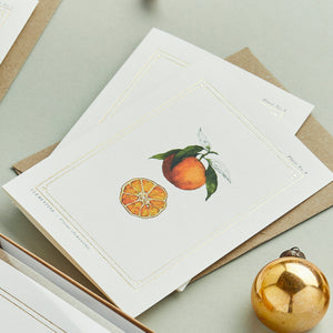 Clementine - 'The Botanist Archive : Festive Edition' - Card