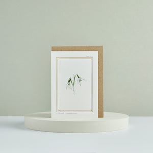 Snowdrop - 'The Botanist Archive : Festive Edition' - Card