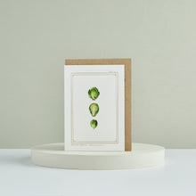 Load image into Gallery viewer, Brussel Sprouts - &#39;The Botanist Archive : Festive Edition&#39; - Card