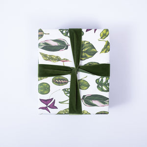 Houseplants - Gift Wrap