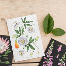 Load image into Gallery viewer, Botanical &#39;Passion Flower - White&#39; Species Card